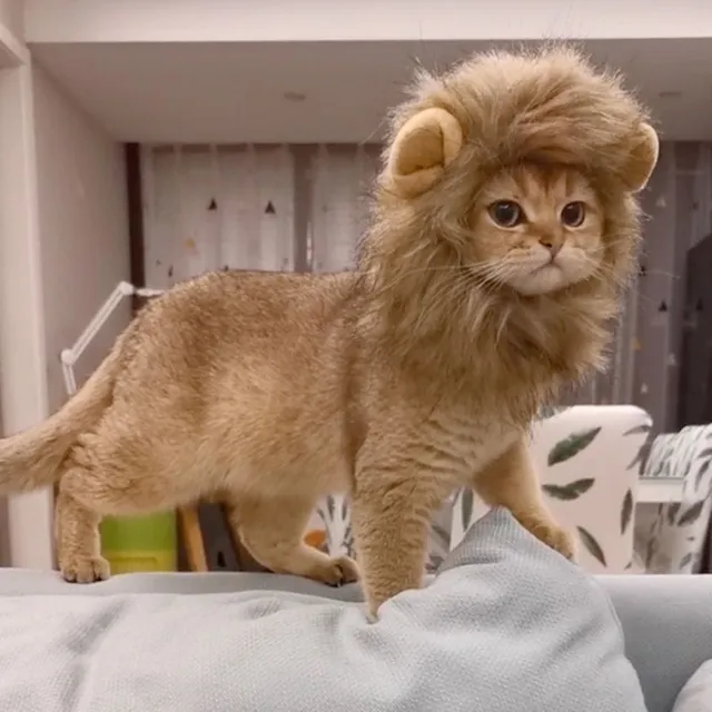 Roztomilý kostým s hrivou leva pre mačky - niekoľko možností veľkosti