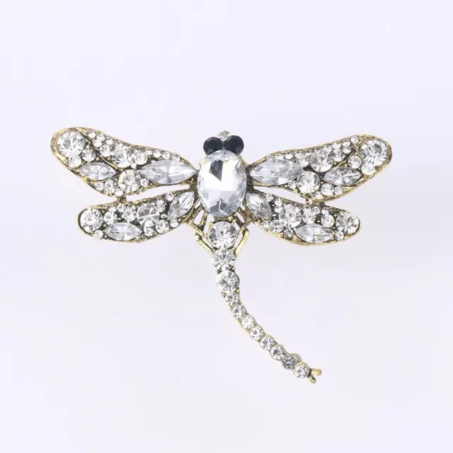 Beautiful ladies brooch decorated with dragonfly