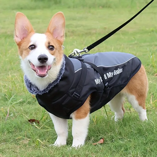 Winter waterproof suit for large dogs with reflective elements