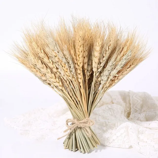 Decoration into vase of various colors - wheat ear