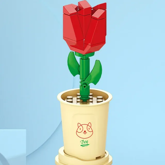 Buildable bouquet of roses - flower arrangement kit