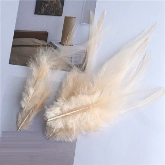 Decorative cock feathers 10-15 cm 50 pcs