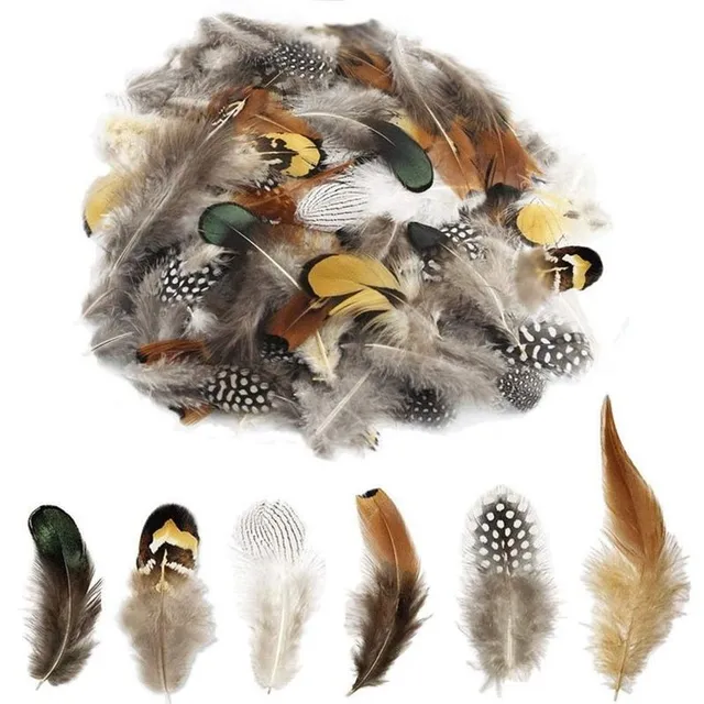 24 pcs of decorative feather mix