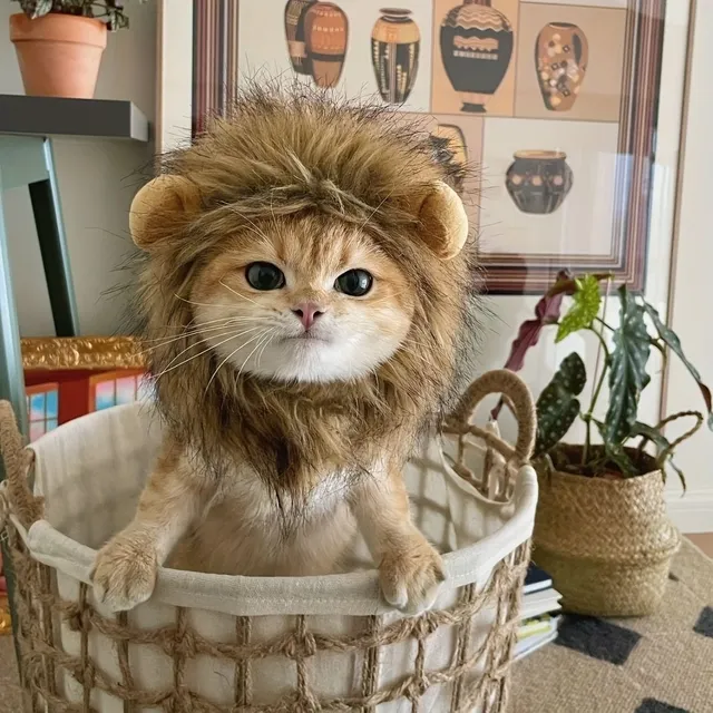 Lion Headband for cats - Funny and cute