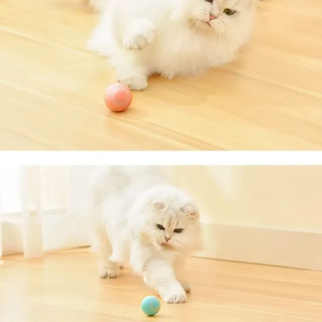 Jucărie interactivă inteligentă pentru pisici și câini în formă de minge auto-mișcătoare Nudd