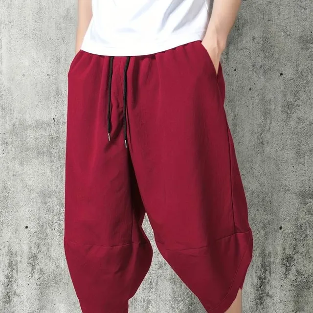 Men's Harem Pants with Control String in Hip Hop Style, Lee, Vintage, Wide Nohavice, shortened, Spring/Summer