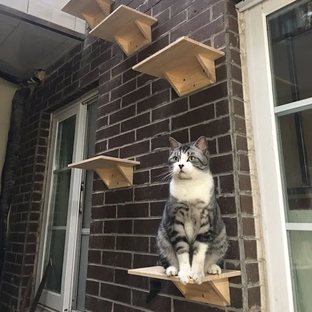 Hanging wooden shelves - steps for cats