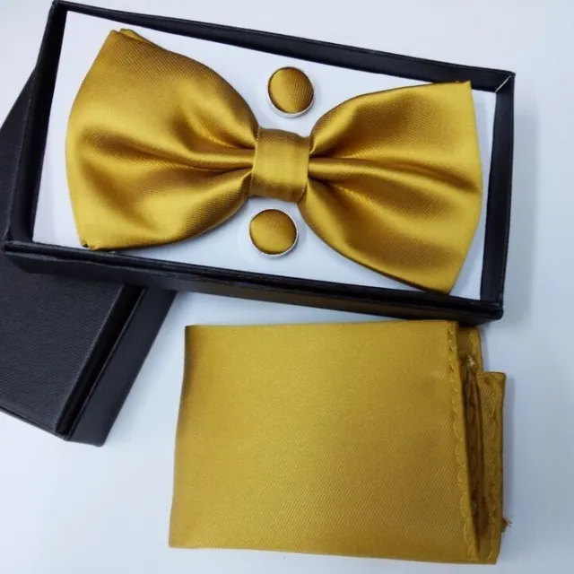 Luxury bow tie with handkerchief Gentle