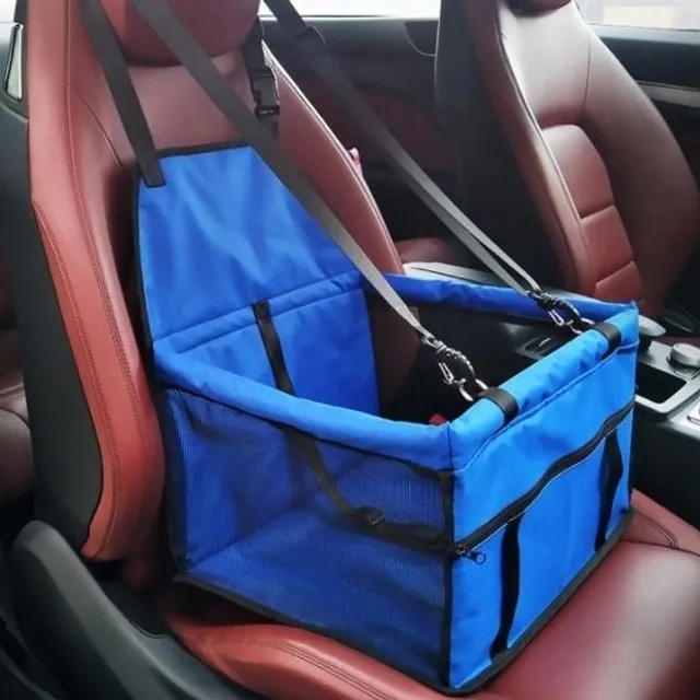 Transport box for dogs