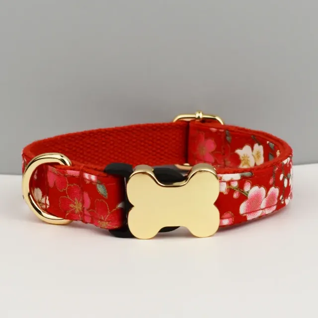 Collier de luxe pour chiens avec pendentif en forme d'os - différentes variantes de couleurs