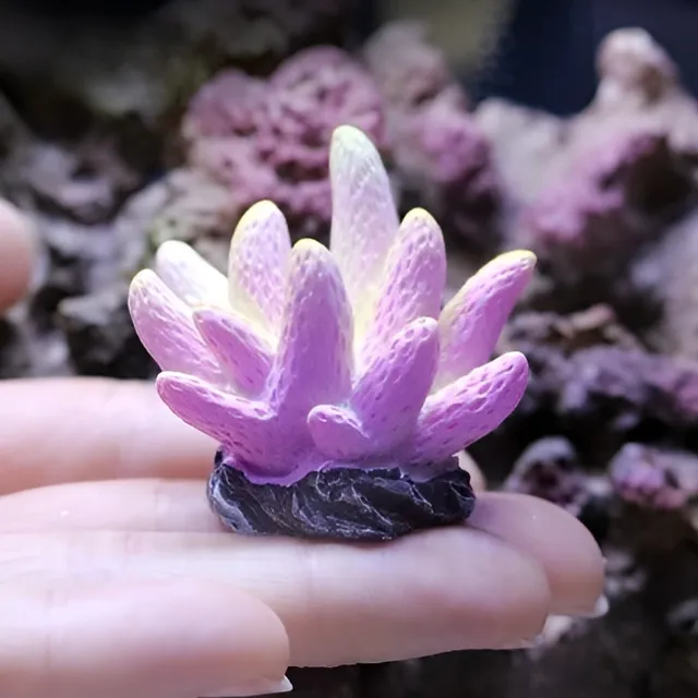 Artificial coral into the aquarium