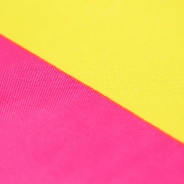 Pansexual flag 90 x 150 cm