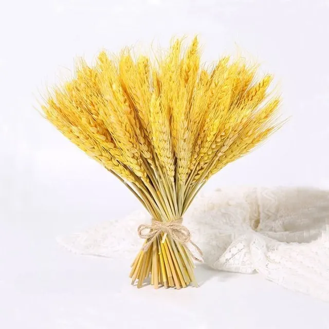 Decoration into vase of various colors - wheat ear