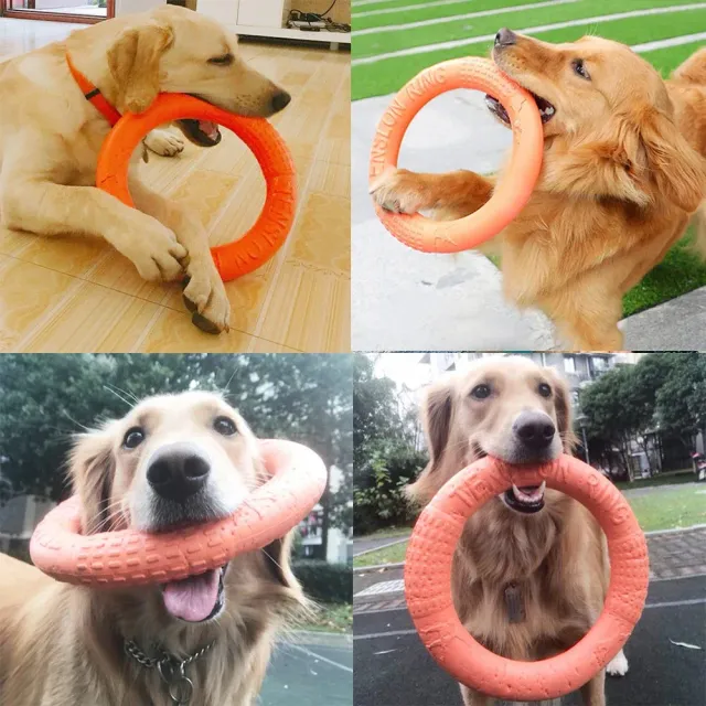 Interactive training flying disc for dogs, durable drag ring