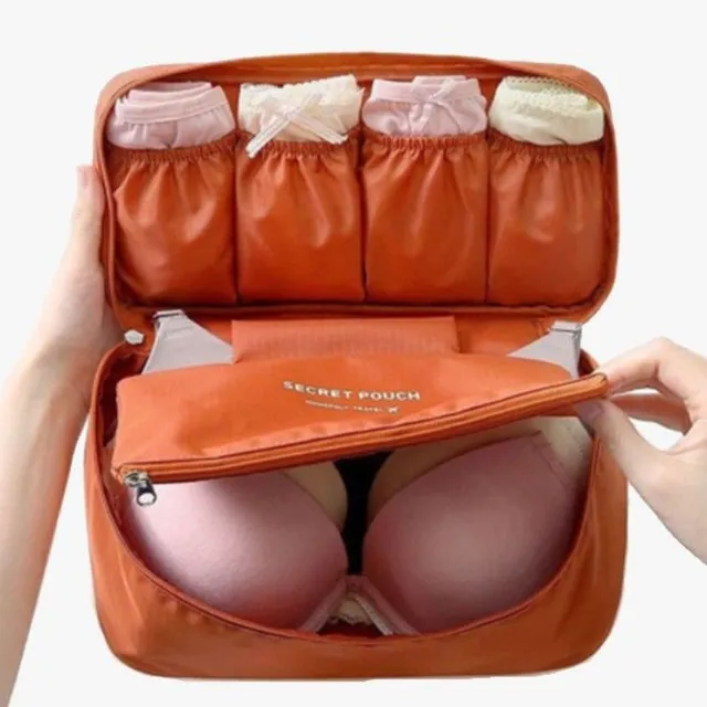 Travel lingerie organizer