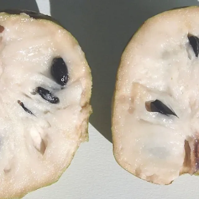 Cherimoya Annona cherimola Finom gyümölcs Könnyű termesztés üvegházban 10 db mag