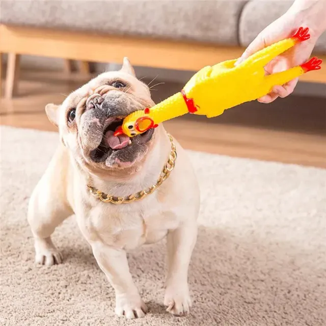 Smoking Chicken - Fun sand toy for dogs with safe rubber chewing material