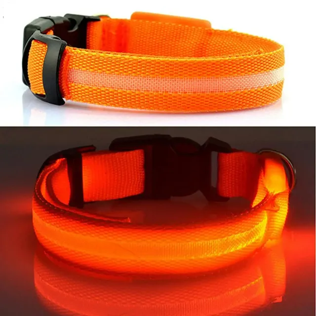 Lighting LED collar for small and medium dogs - for safe night walks