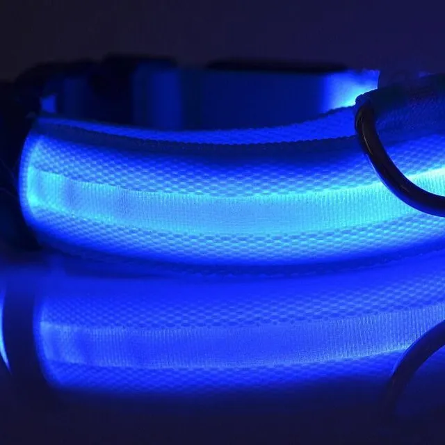 Illuminated LED dog collar