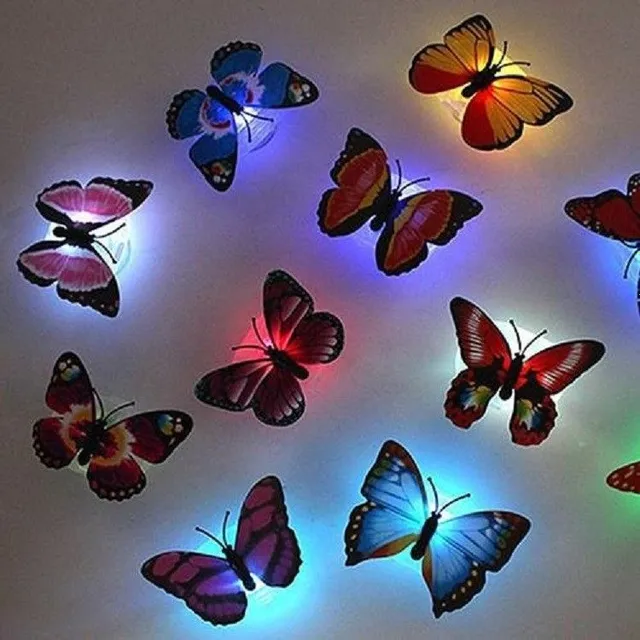 Lighting butterfly on the wall