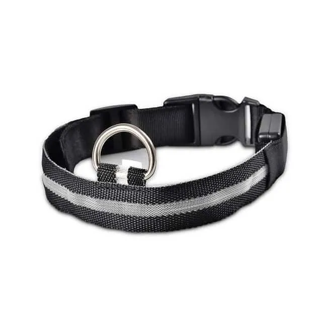 Luminous nylon collar for dogs