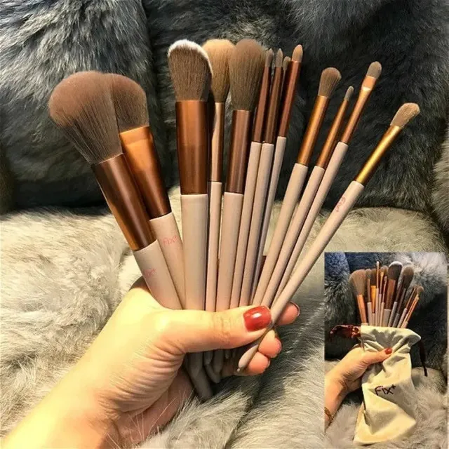 Set of 13 cosmetic brushes for professional makeup - different colors