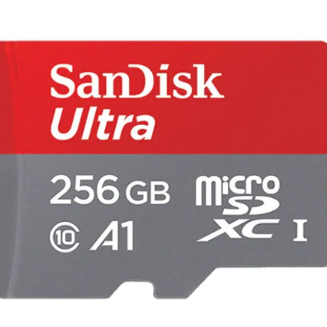 Micro SD kártya SanDisk