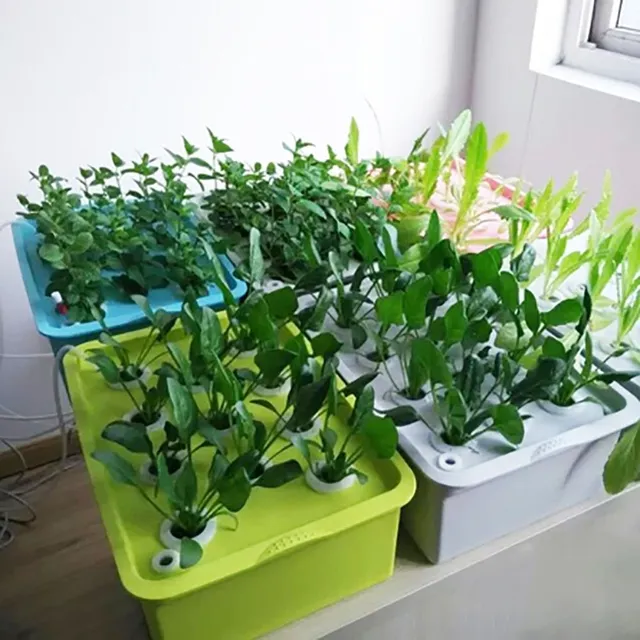 Cutie de grădină acvaponică pentru uz casnic