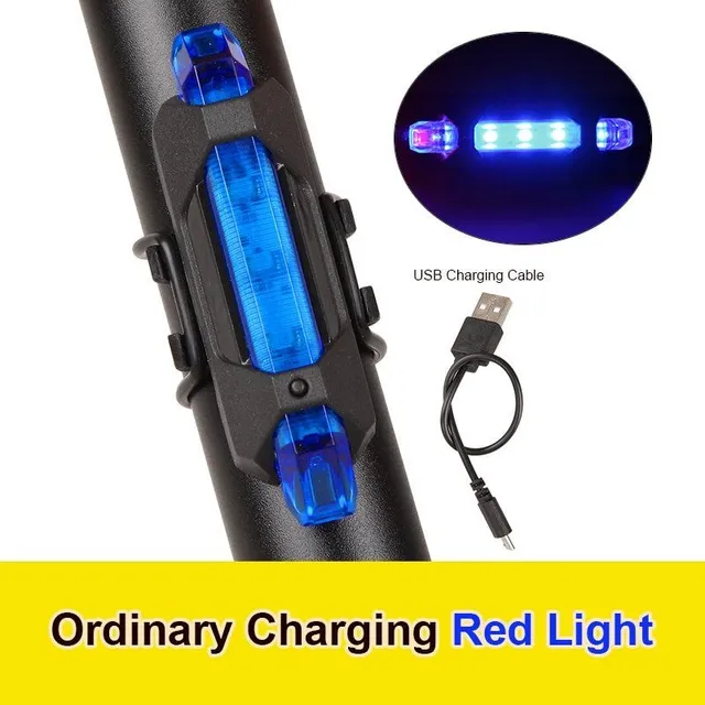 LED USB light on bike