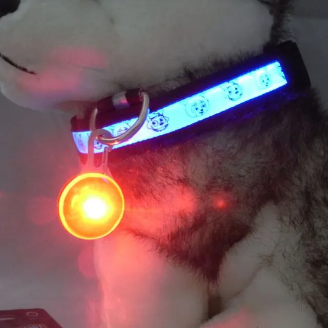 Illuminated round LED pendant for collar