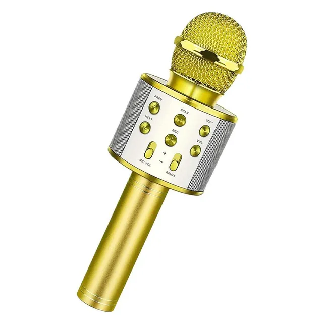 Wireless bluetooth karaoke microphone with recording function