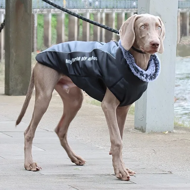 Winter waterproof suit for large dogs with reflective elements