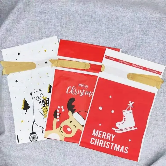 Christmas gift bag 10 pcs