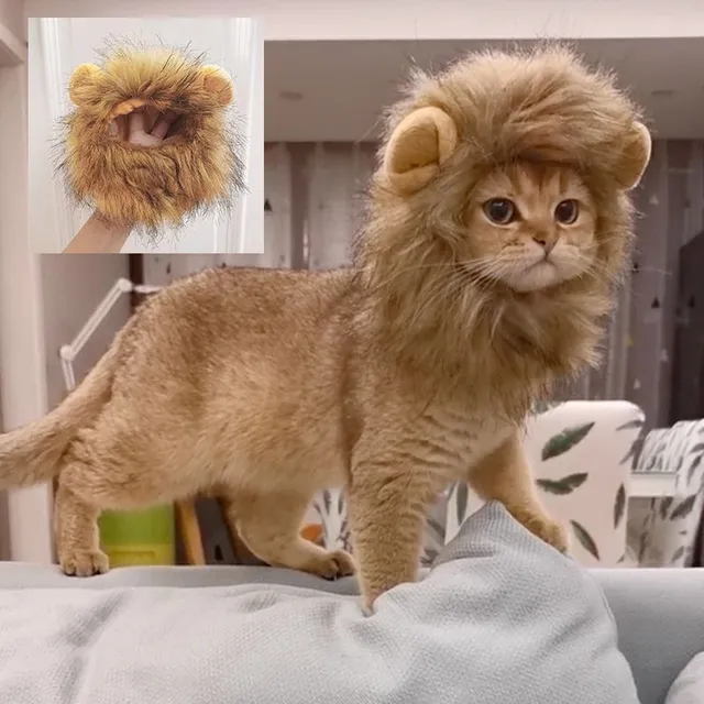 Cute lion mane for cats