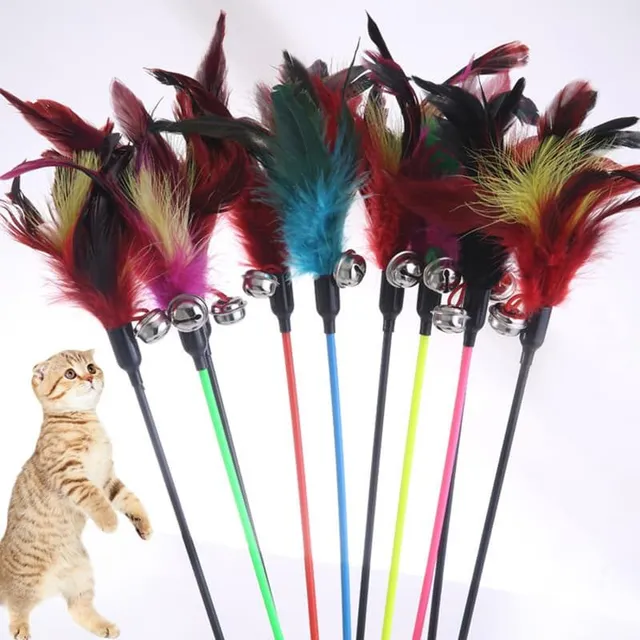 Cat toy with feathers and bell