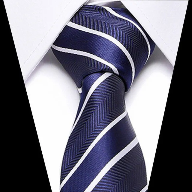 Men's luxury business tie Brock