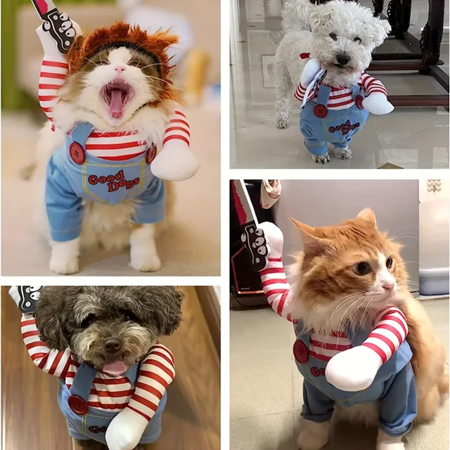 Halloween: Costume of scary dolls for dogs - Cute and scary at the same time