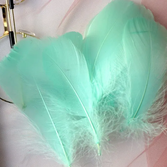 Natural coloured decorative feathers - 100 pcs