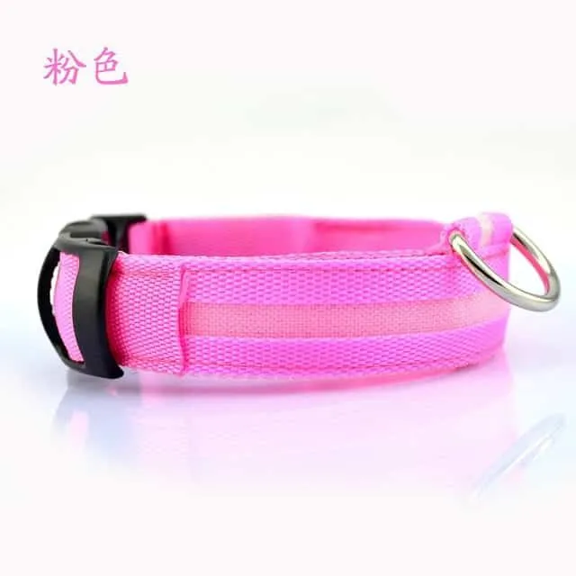 Luminous nylon collar for dogs