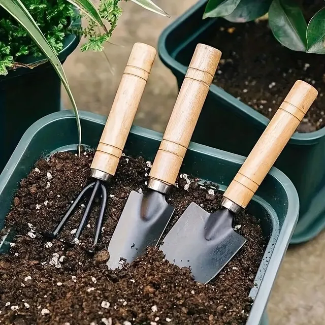 (3 pcs) Set of gardening tools for planting flowers and vegetables