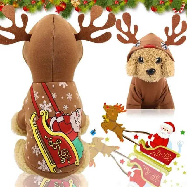 Christmas costume for dogs