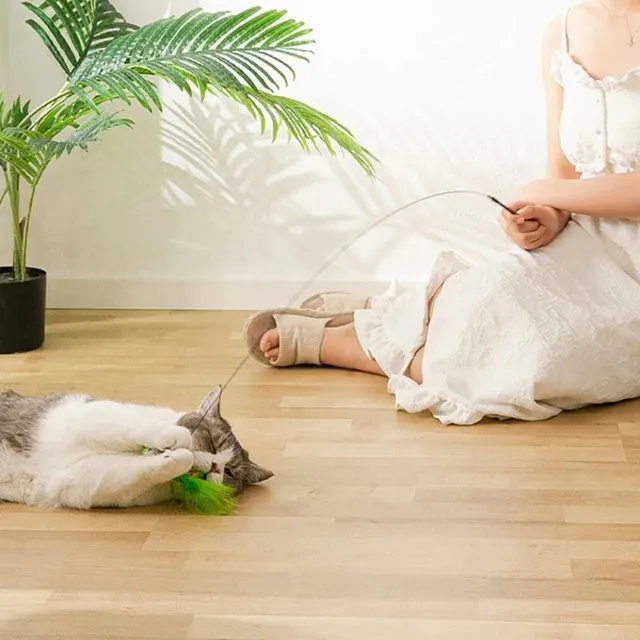 Interactive toy for cats with feathers