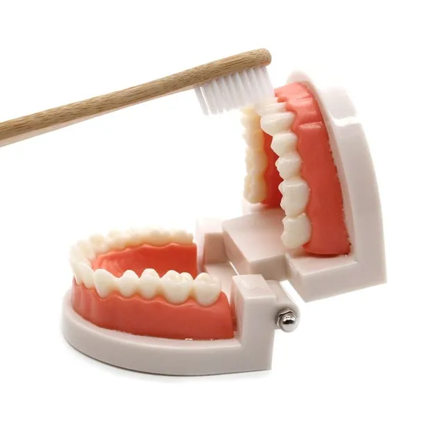 Detská vzdelávacia hračka na čistenie zubov