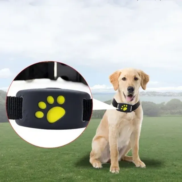 GPS tracking collars for pets