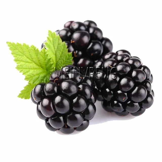 Large blackberries © 200pcs of seeds