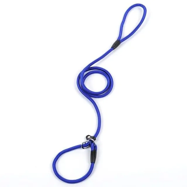 Practical leash for dogs with collar