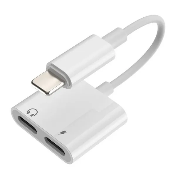 Lightning connector double