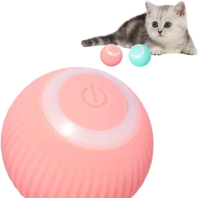 Interactive electric ball for cats - USB