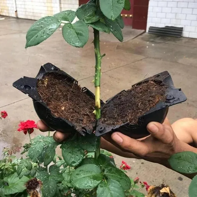 Cutie de grădină practică rotundă pentru clonarea plantelor în culoarea neagră