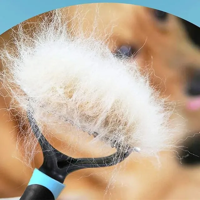 Professional hair removal brush